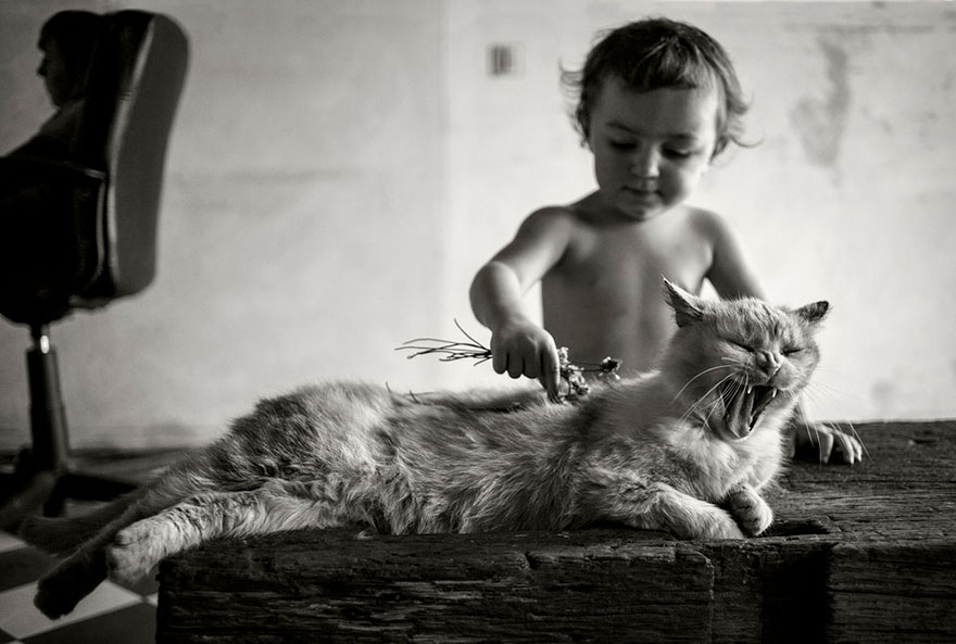 179 Heartwarming Photos Of Kids Playing With Their Cats 179 Heartwarming Photos Of Kids Playing With Their Cats