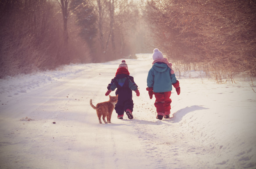 179 Heartwarming Photos Of Kids Playing With Their Cats 179 Heartwarming Photos Of Kids Playing With Their Cats