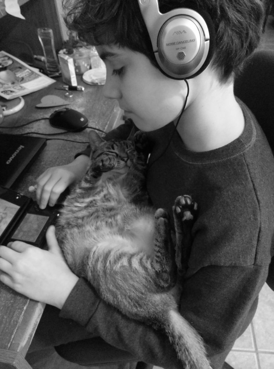 179 Heartwarming Photos Of Kids Playing With Their Cats 179 Heartwarming Photos Of Kids Playing With Their Cats