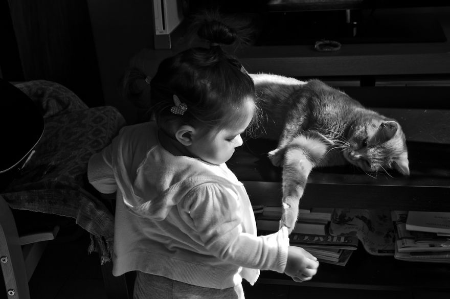 179 Heartwarming Photos Of Kids Playing With Their Cats 179 Heartwarming Photos Of Kids Playing With Their Cats