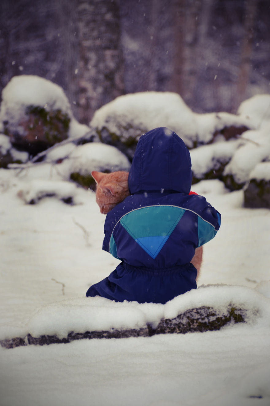 179 Heartwarming Photos Of Kids Playing With Their Cats 179 Heartwarming Photos Of Kids Playing With Their Cats