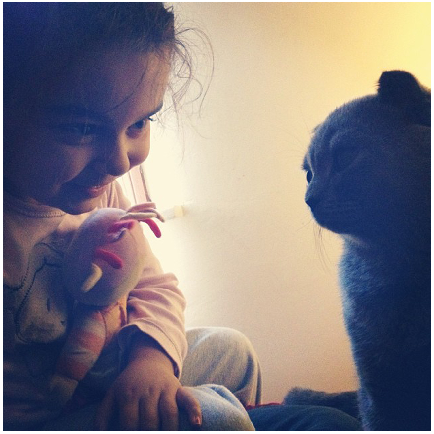 179 Heartwarming Photos Of Kids Playing With Their Cats 179 Heartwarming Photos Of Kids Playing With Their Cats