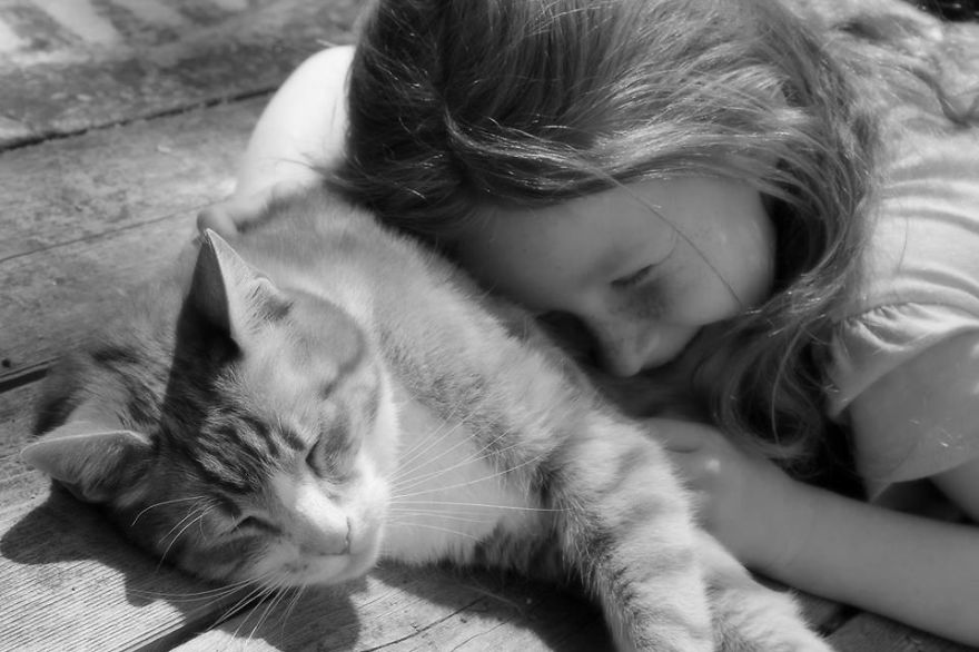 179 Heartwarming Photos Of Kids Playing With Their Cats 179 Heartwarming Photos Of Kids Playing With Their Cats