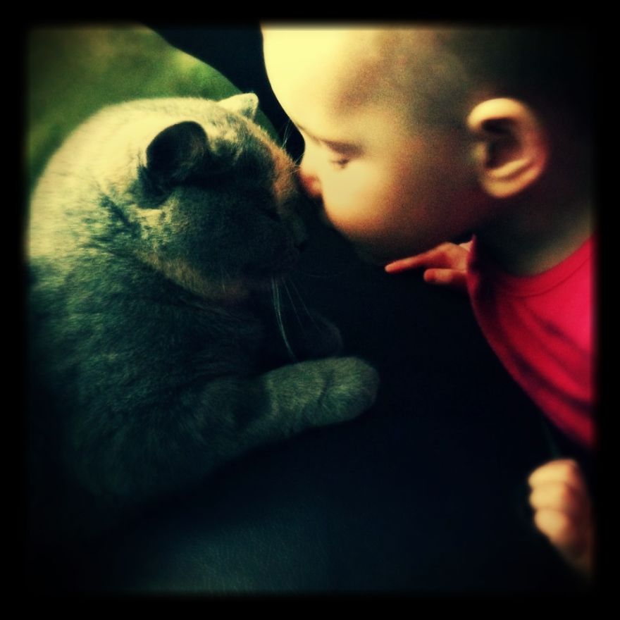 179 Heartwarming Photos Of Kids Playing With Their Cats 179 Heartwarming Photos Of Kids Playing With Their Cats