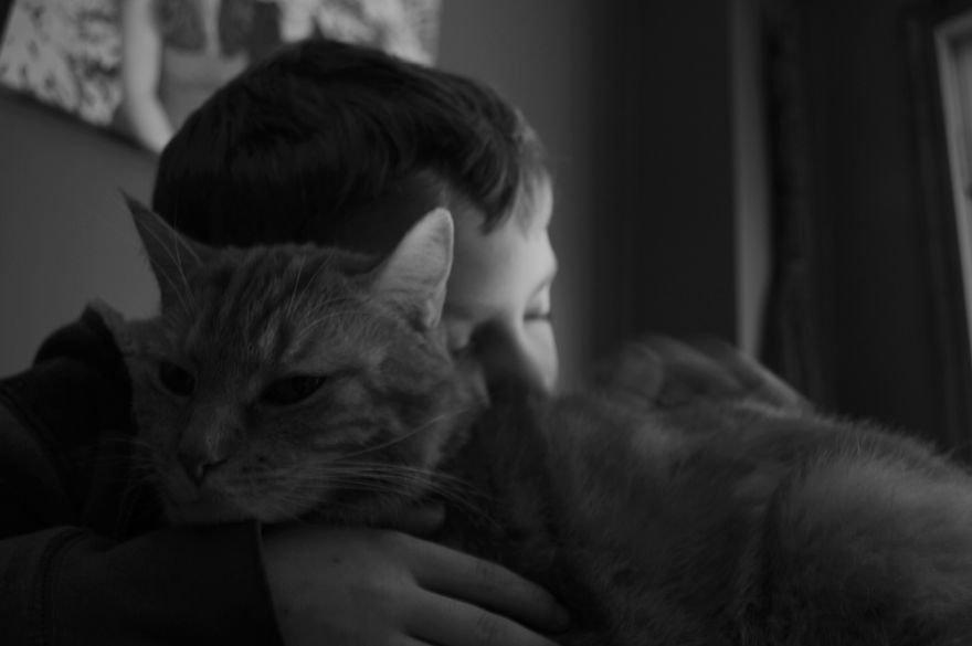 179 Heartwarming Photos Of Kids Playing With Their Cats 179 Heartwarming Photos Of Kids Playing With Their Cats