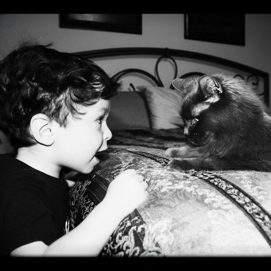 179 Heartwarming Photos Of Kids Playing With Their Cats 179 Heartwarming Photos Of Kids Playing With Their Cats