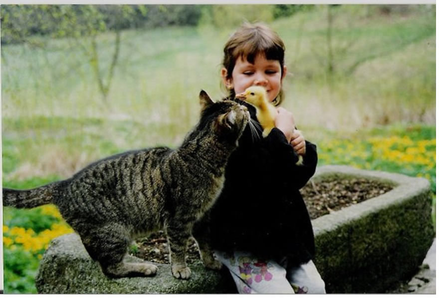 179 Heartwarming Photos Of Kids Playing With Their Cats 179 Heartwarming Photos Of Kids Playing With Their Cats