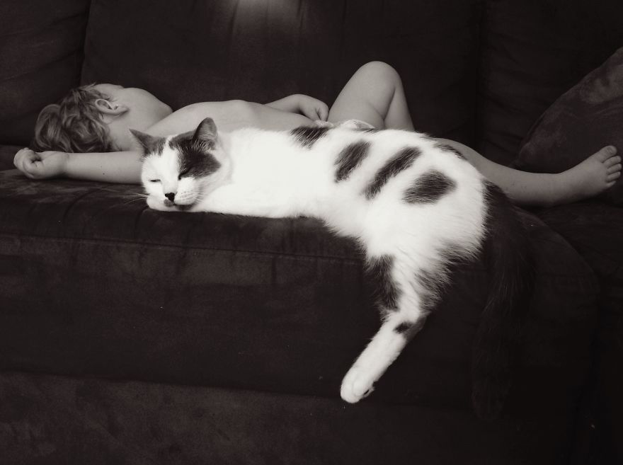 179 Heartwarming Photos Of Kids Playing With Their Cats 179 Heartwarming Photos Of Kids Playing With Their Cats
