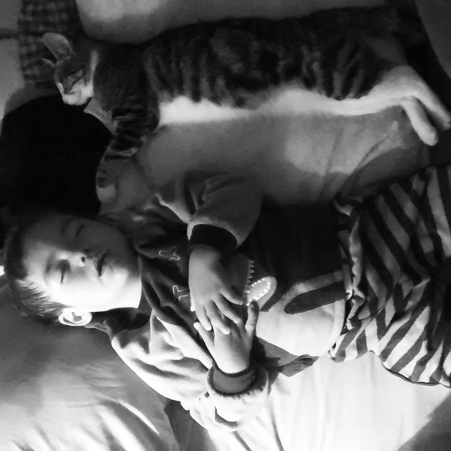 179 Heartwarming Photos Of Kids Playing With Their Cats 179 Heartwarming Photos Of Kids Playing With Their Cats