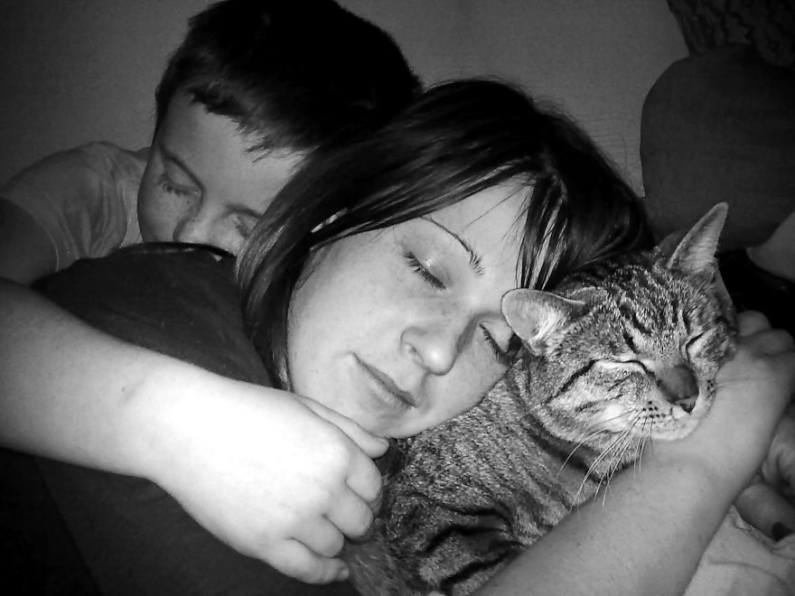 179 Heartwarming Photos Of Kids Playing With Their Cats 179 Heartwarming Photos Of Kids Playing With Their Cats