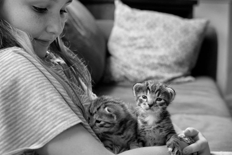 179 Heartwarming Photos Of Kids Playing With Their Cats 179 Heartwarming Photos Of Kids Playing With Their Cats