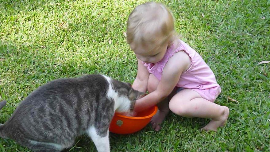 179 Heartwarming Photos Of Kids Playing With Their Cats 179 Heartwarming Photos Of Kids Playing With Their Cats