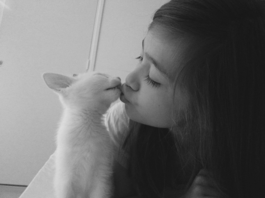 179 Heartwarming Photos Of Kids Playing With Their Cats 179 Heartwarming Photos Of Kids Playing With Their Cats