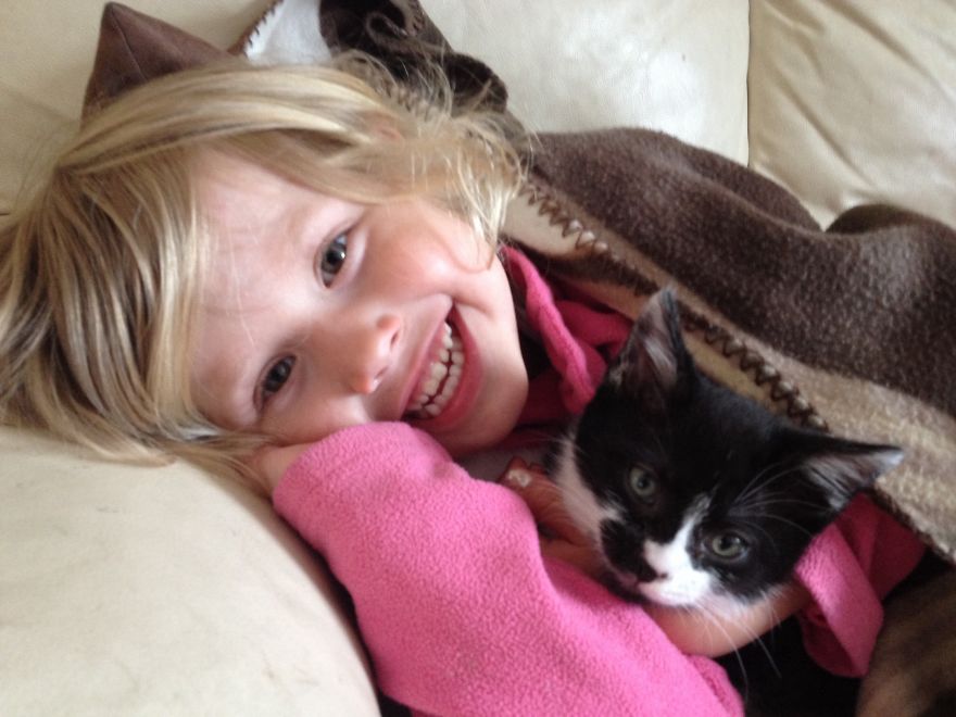 179 Heartwarming Photos Of Kids Playing With Their Cats 179 Heartwarming Photos Of Kids Playing With Their Cats