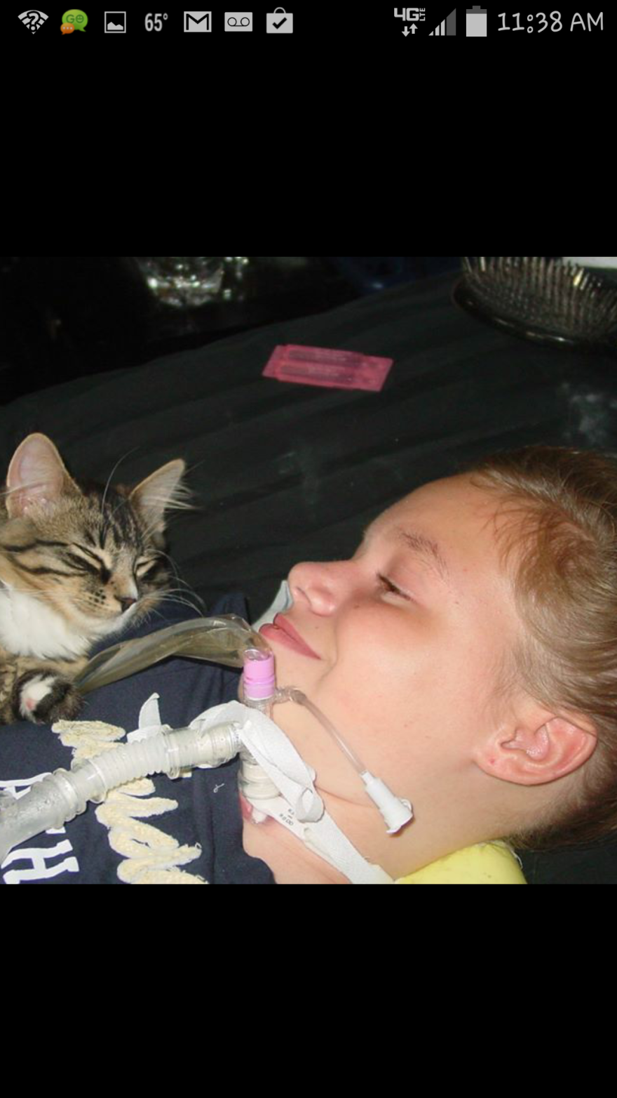 179 Heartwarming Photos Of Kids Playing With Their Cats 179 Heartwarming Photos Of Kids Playing With Their Cats