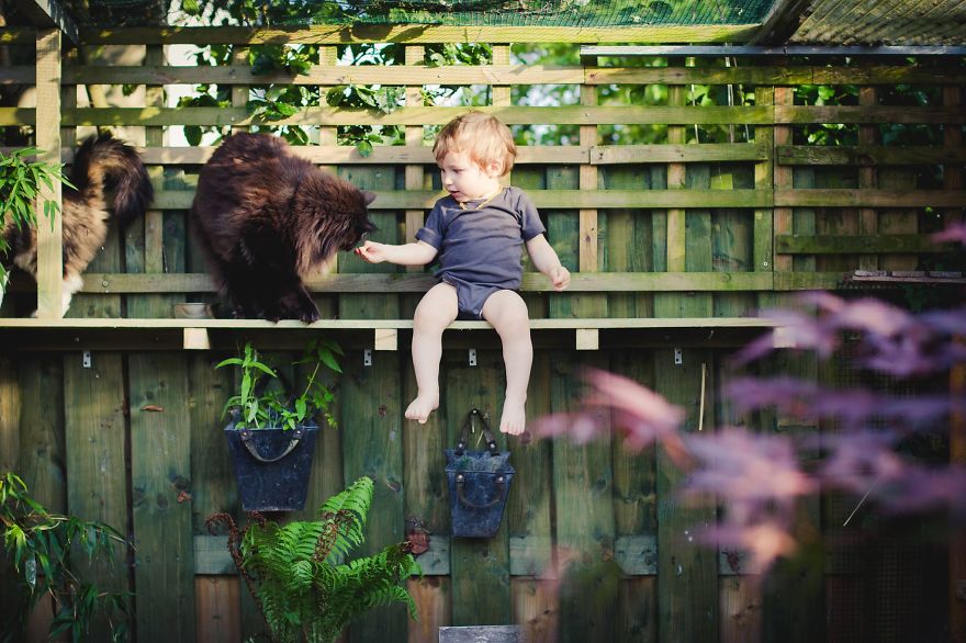 179 Heartwarming Photos Of Kids Playing With Their Cats 179 Heartwarming Photos Of Kids Playing With Their Cats