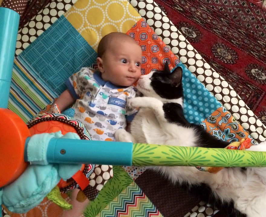 179 Heartwarming Photos Of Kids Playing With Their Cats 179 Heartwarming Photos Of Kids Playing With Their Cats