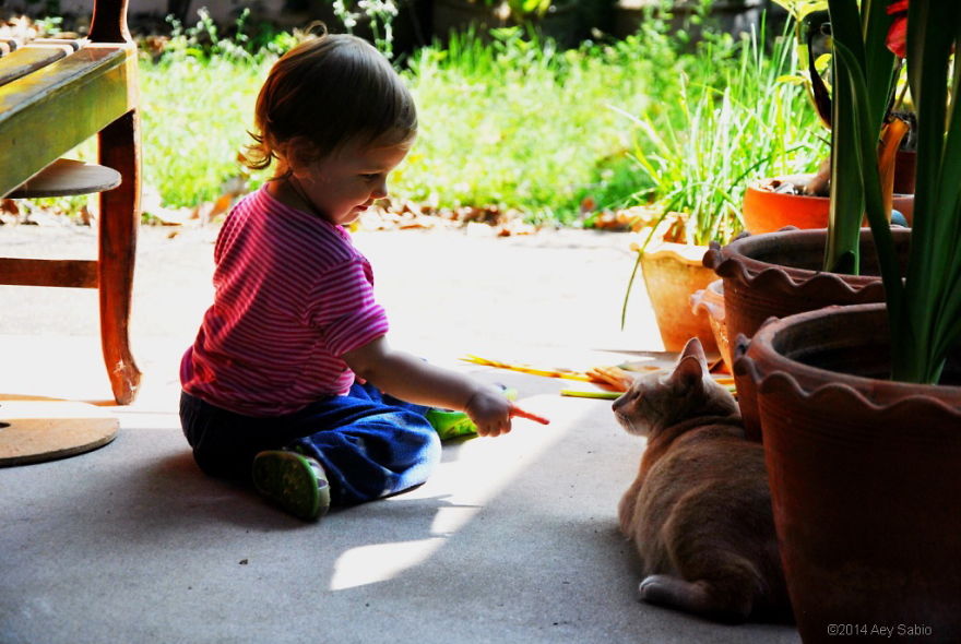 179 Heartwarming Photos Of Kids Playing With Their Cats 179 Heartwarming Photos Of Kids Playing With Their Cats