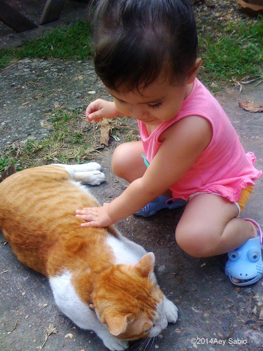179 Heartwarming Photos Of Kids Playing With Their Cats 179 Heartwarming Photos Of Kids Playing With Their Cats