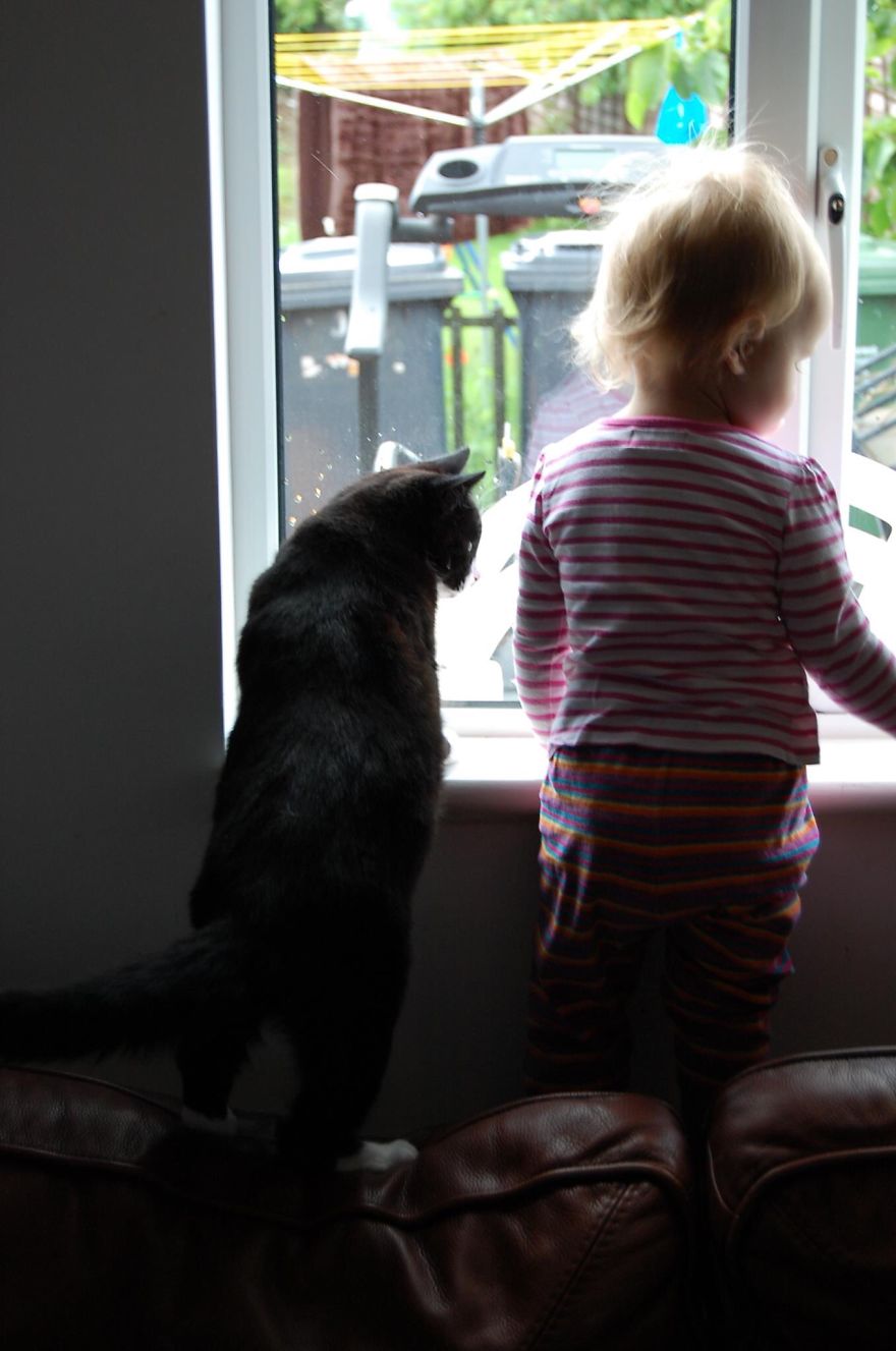 179 Heartwarming Photos Of Kids Playing With Their Cats 179 Heartwarming Photos Of Kids Playing With Their Cats