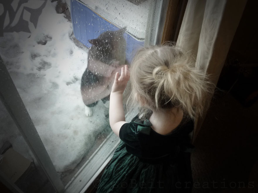 179 Heartwarming Photos Of Kids Playing With Their Cats 179 Heartwarming Photos Of Kids Playing With Their Cats