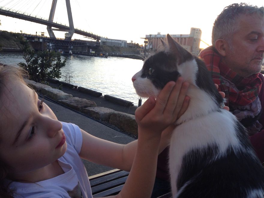 179 Heartwarming Photos Of Kids Playing With Their Cats 179 Heartwarming Photos Of Kids Playing With Their Cats