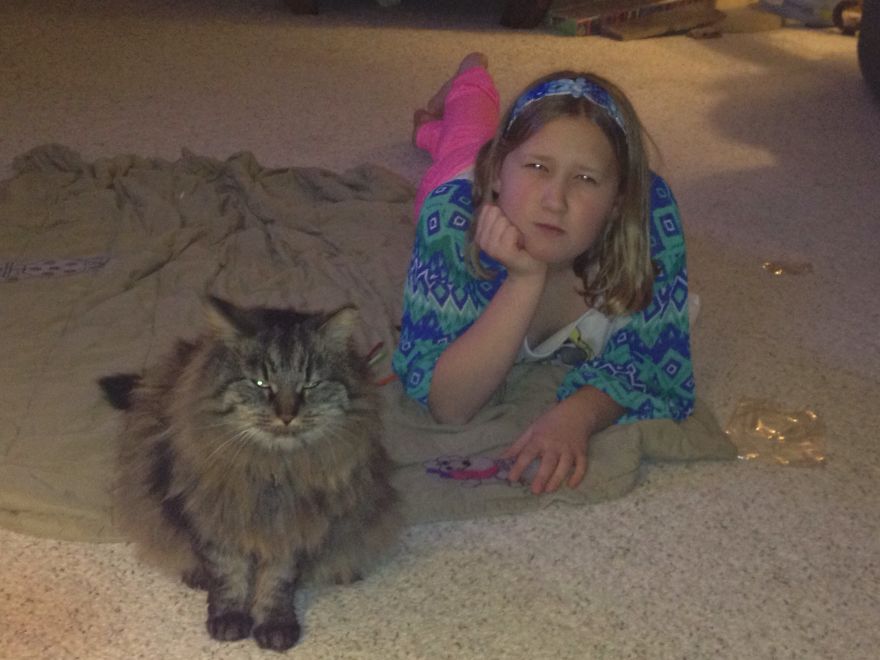 179 Heartwarming Photos Of Kids Playing With Their Cats 179 Heartwarming Photos Of Kids Playing With Their Cats