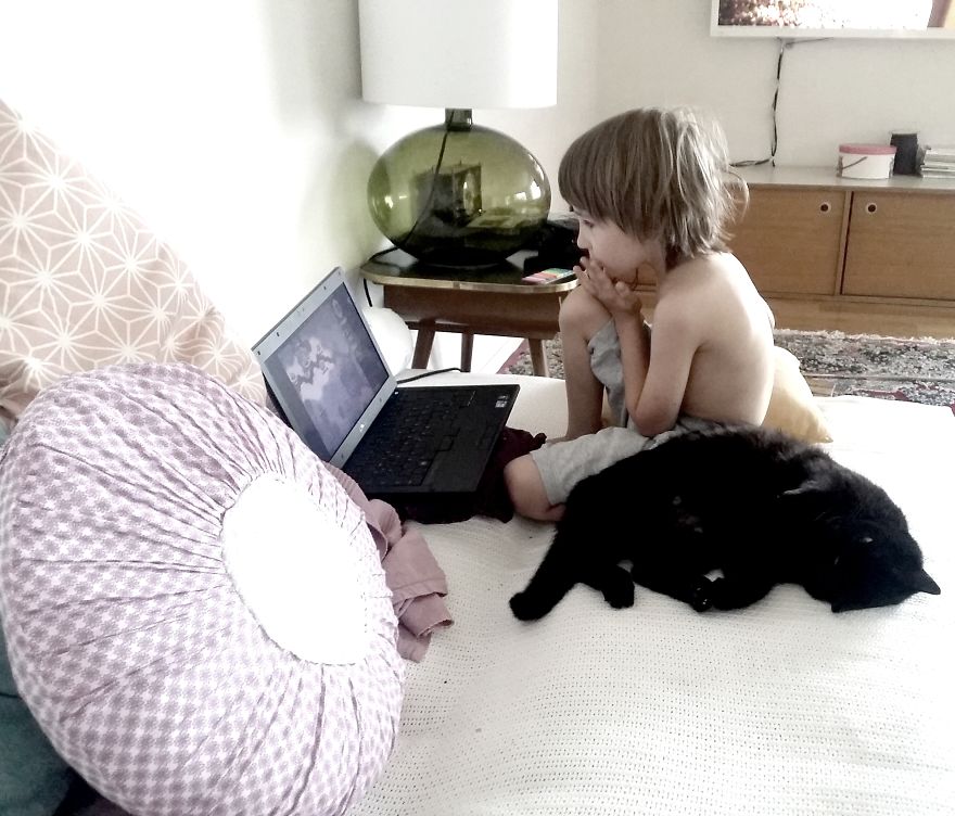 179 Heartwarming Photos Of Kids Playing With Their Cats 179 Heartwarming Photos Of Kids Playing With Their Cats