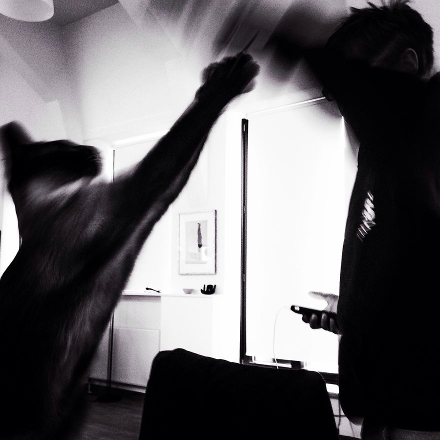 179 Heartwarming Photos Of Kids Playing With Their Cats 179 Heartwarming Photos Of Kids Playing With Their Cats