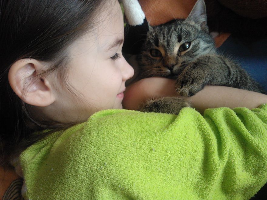 179 Heartwarming Photos Of Kids Playing With Their Cats 179 Heartwarming Photos Of Kids Playing With Their Cats