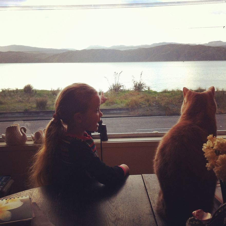 179 Heartwarming Photos Of Kids Playing With Their Cats 179 Heartwarming Photos Of Kids Playing With Their Cats