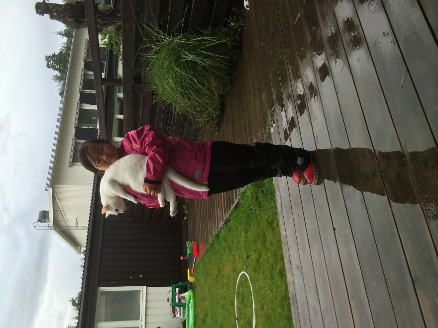 179 Heartwarming Photos Of Kids Playing With Their Cats 179 Heartwarming Photos Of Kids Playing With Their Cats