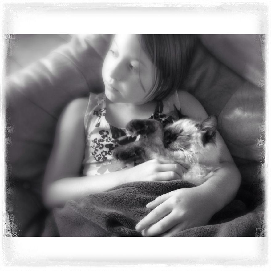 179 Heartwarming Photos Of Kids Playing With Their Cats 179 Heartwarming Photos Of Kids Playing With Their Cats