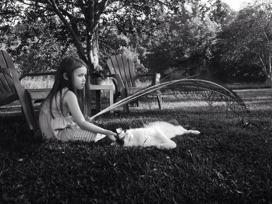 179 Heartwarming Photos Of Kids Playing With Their Cats 179 Heartwarming Photos Of Kids Playing With Their Cats