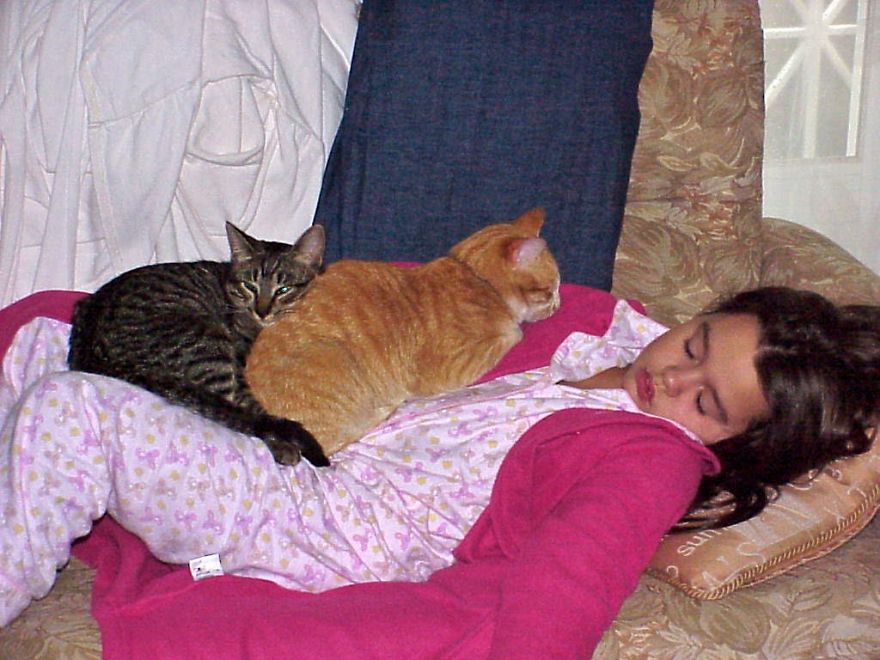 179 Heartwarming Photos Of Kids Playing With Their Cats 179 Heartwarming Photos Of Kids Playing With Their Cats