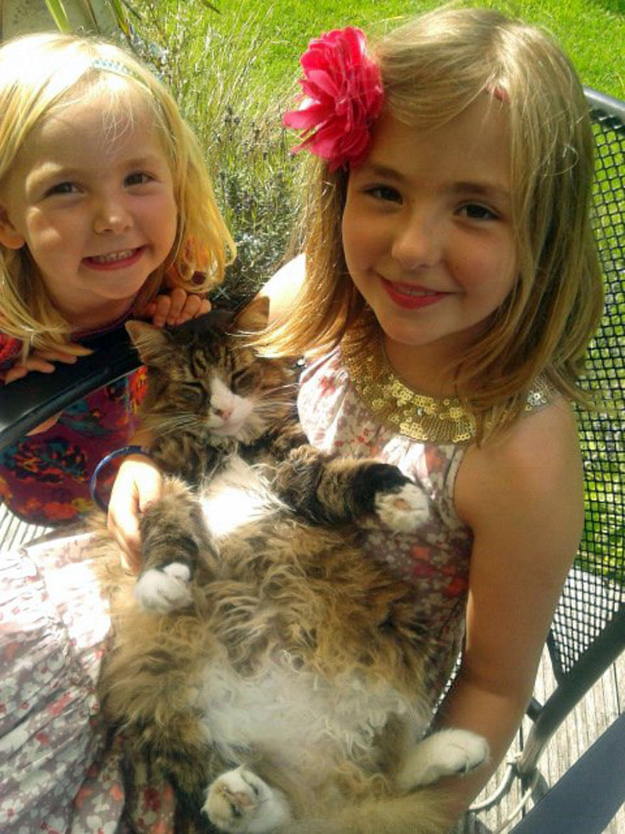 179 Heartwarming Photos Of Kids Playing With Their Cats 179 Heartwarming Photos Of Kids Playing With Their Cats