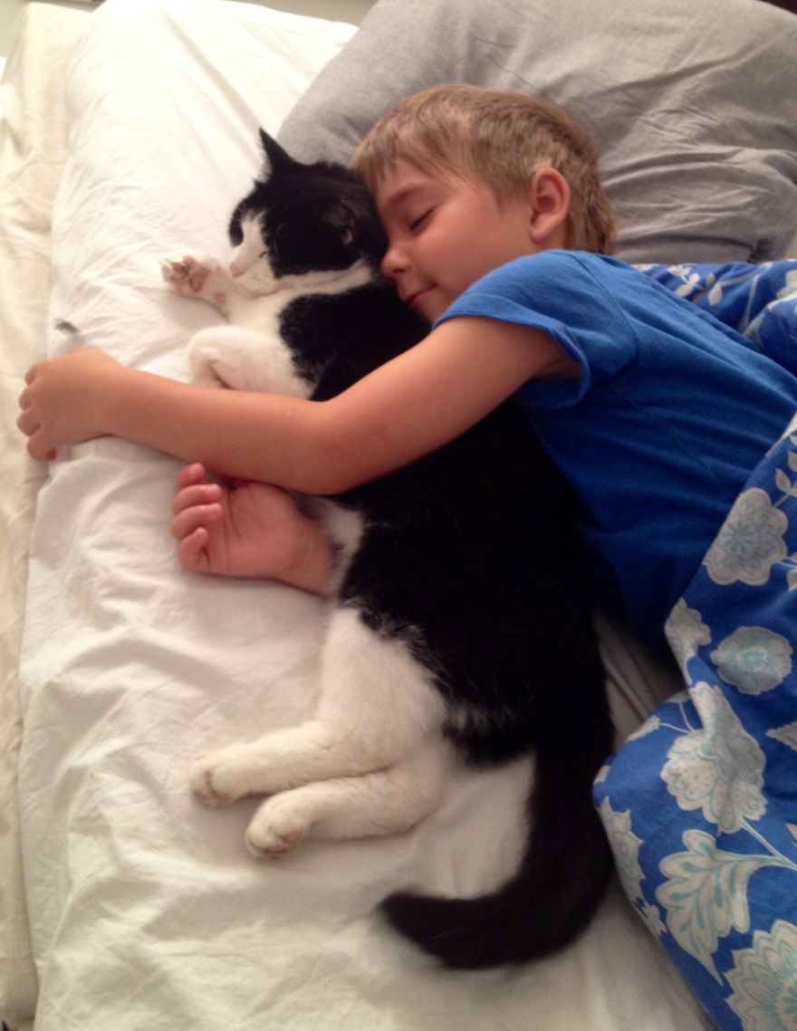 179 Heartwarming Photos Of Kids Playing With Their Cats 179 Heartwarming Photos Of Kids Playing With Their Cats