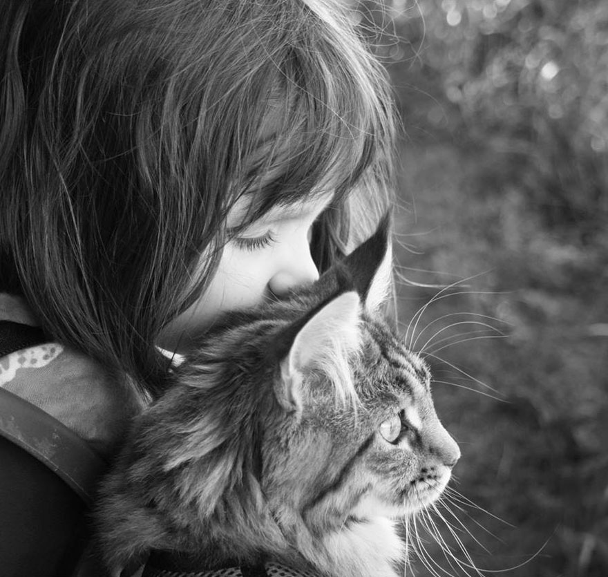 179 Heartwarming Photos Of Kids Playing With Their Cats 179 Heartwarming Photos Of Kids Playing With Their Cats