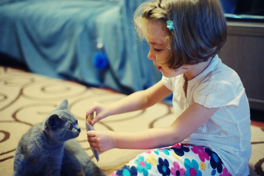179 Heartwarming Photos Of Kids Playing With Their Cats 179 Heartwarming Photos Of Kids Playing With Their Cats