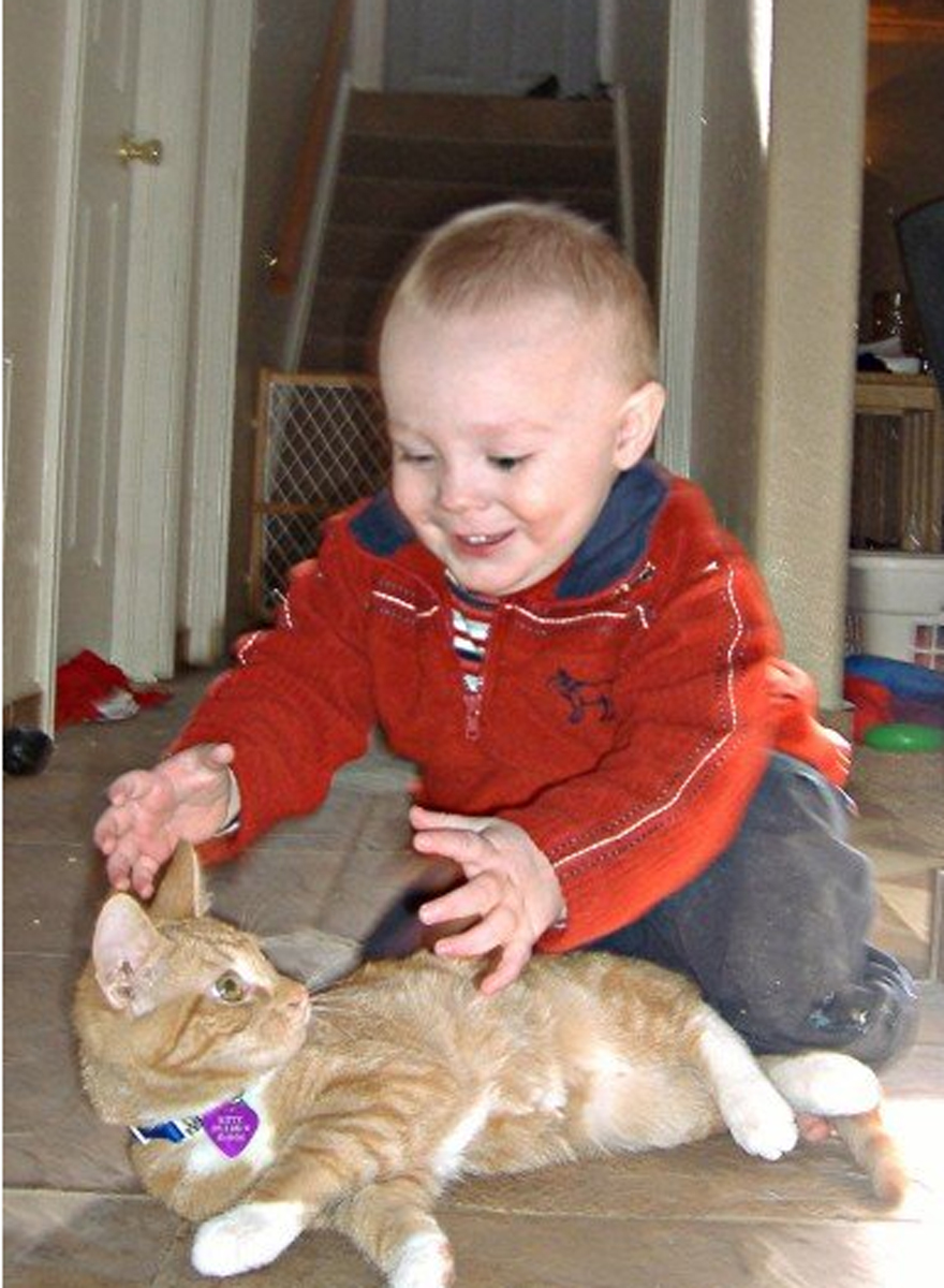 179 Heartwarming Photos Of Kids Playing With Their Cats 179 Heartwarming Photos Of Kids Playing With Their Cats