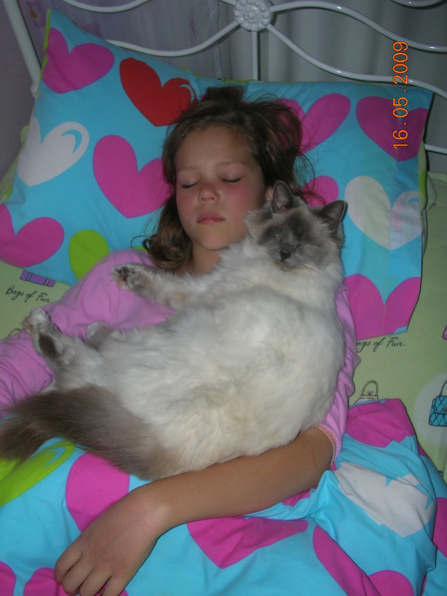 179 Heartwarming Photos Of Kids Playing With Their Cats 179 Heartwarming Photos Of Kids Playing With Their Cats