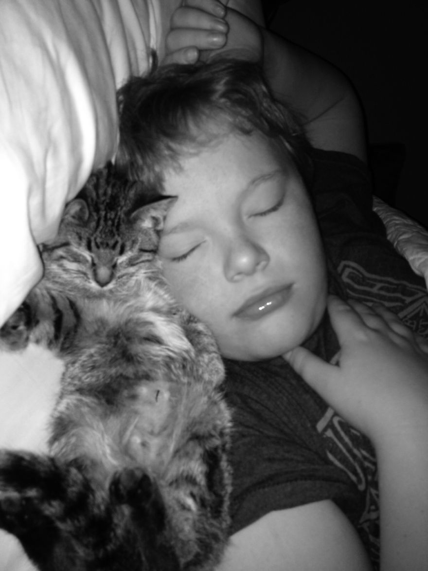 179 Heartwarming Photos Of Kids Playing With Their Cats 179 Heartwarming Photos Of Kids Playing With Their Cats