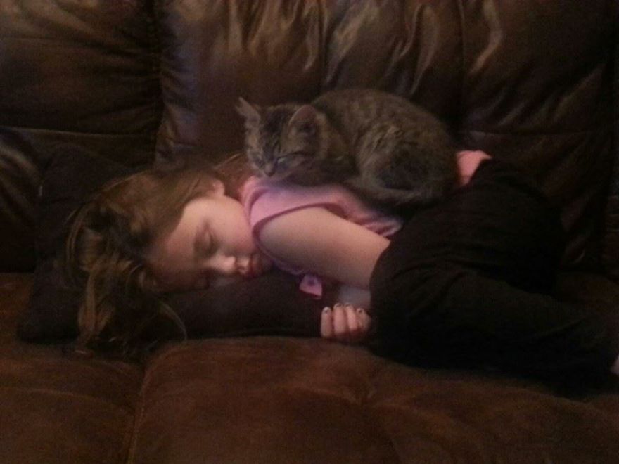 179 Heartwarming Photos Of Kids Playing With Their Cats 179 Heartwarming Photos Of Kids Playing With Their Cats