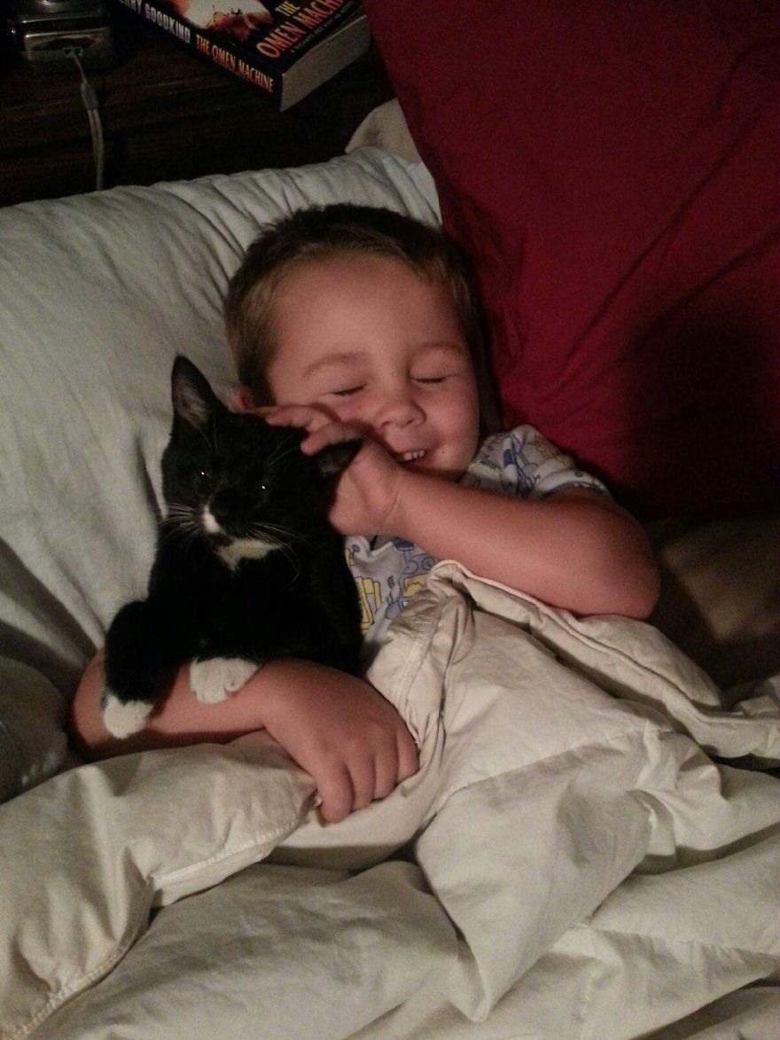 179 Heartwarming Photos Of Kids Playing With Their Cats 179 Heartwarming Photos Of Kids Playing With Their Cats