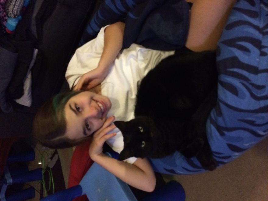 179 Heartwarming Photos Of Kids Playing With Their Cats 179 Heartwarming Photos Of Kids Playing With Their Cats