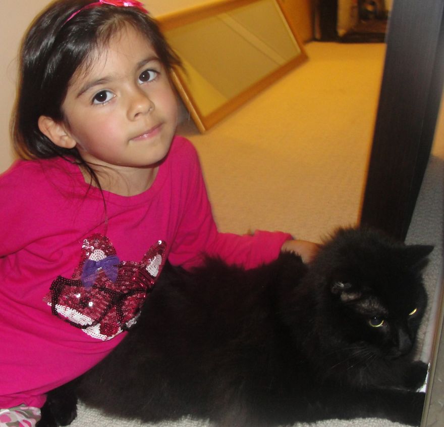 179 Heartwarming Photos Of Kids Playing With Their Cats 179 Heartwarming Photos Of Kids Playing With Their Cats
