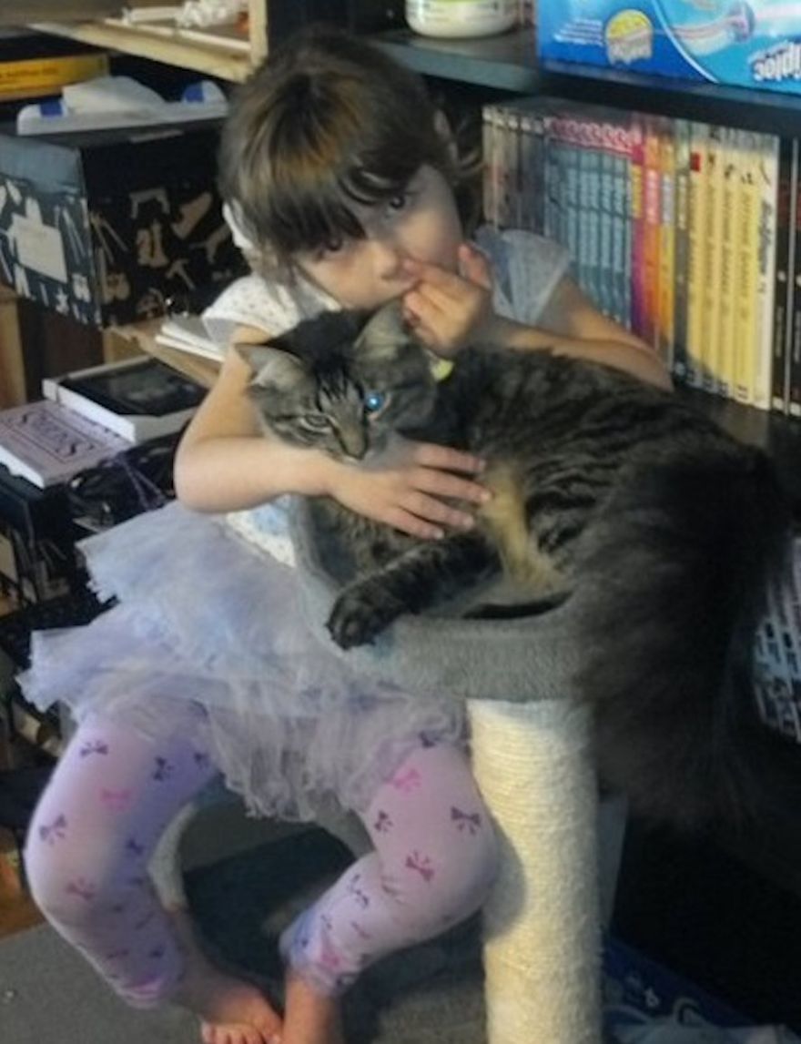 179 Heartwarming Photos Of Kids Playing With Their Cats 179 Heartwarming Photos Of Kids Playing With Their Cats