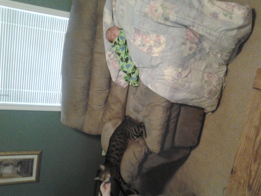 179 Heartwarming Photos Of Kids Playing With Their Cats 179 Heartwarming Photos Of Kids Playing With Their Cats