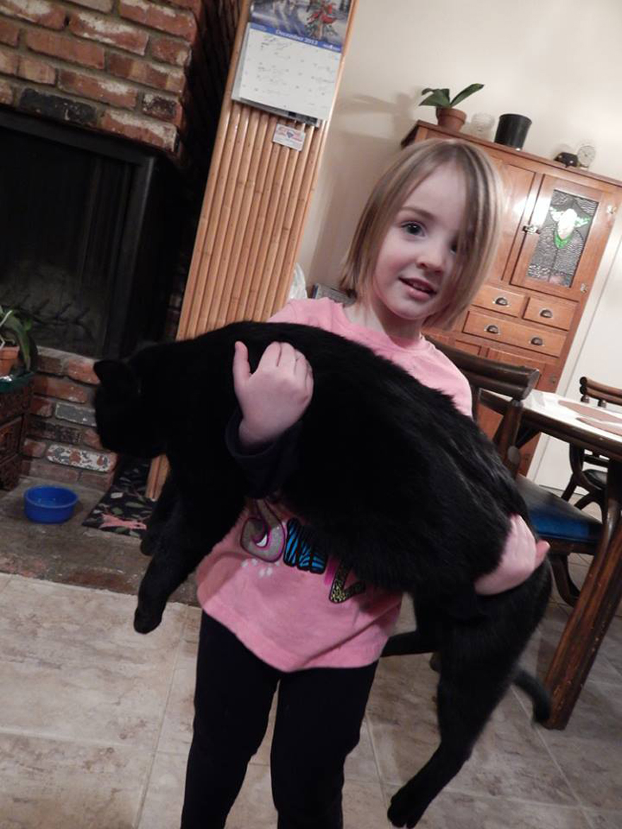 179 Heartwarming Photos Of Kids Playing With Their Cats 179 Heartwarming Photos Of Kids Playing With Their Cats