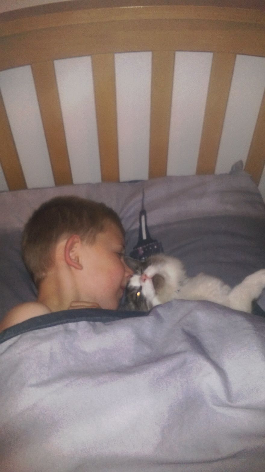 179 Heartwarming Photos Of Kids Playing With Their Cats 179 Heartwarming Photos Of Kids Playing With Their Cats